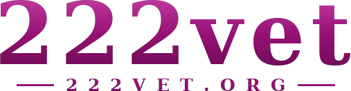 222vet logo